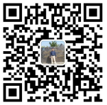 J9集团国际站软件
